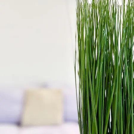 Red Square Residence Апартаменты Варна